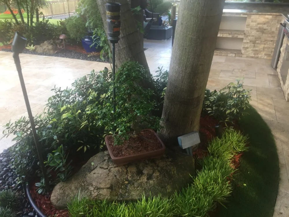 Local landscape design in Miami, FL - Green Brothers Group