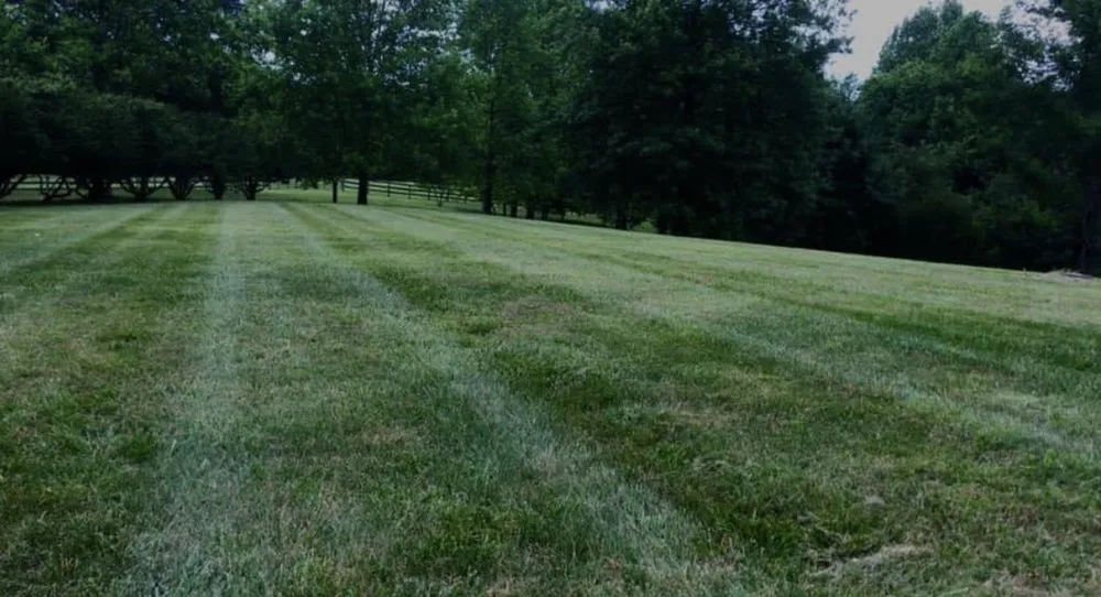 Affordable yard maintenance in Louisa, VA - Green Bush Lawn Care