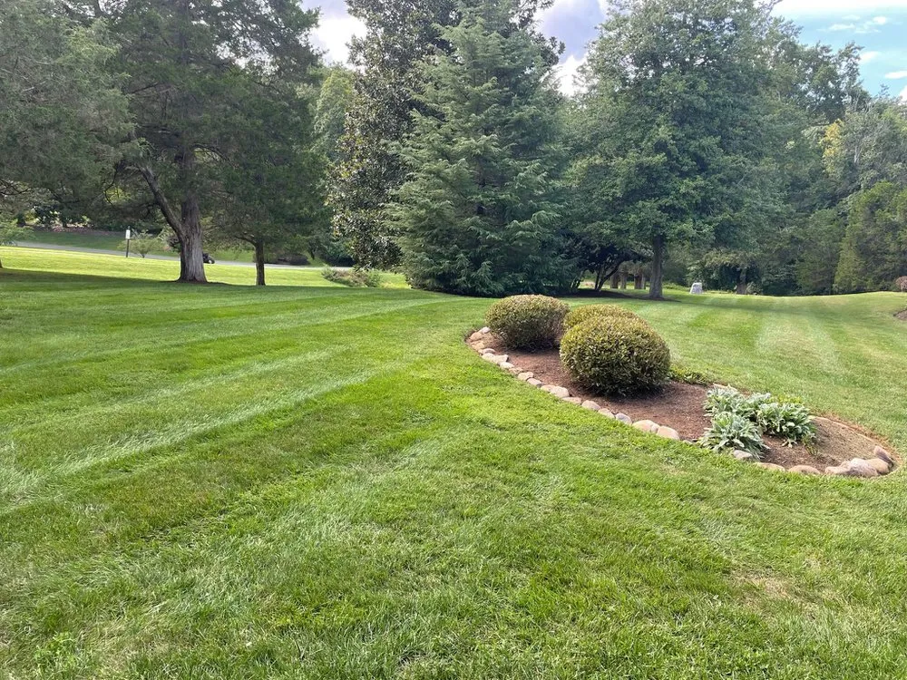 Reliable residential landscaping in Louisa, VA - Green Bush Lawn Care