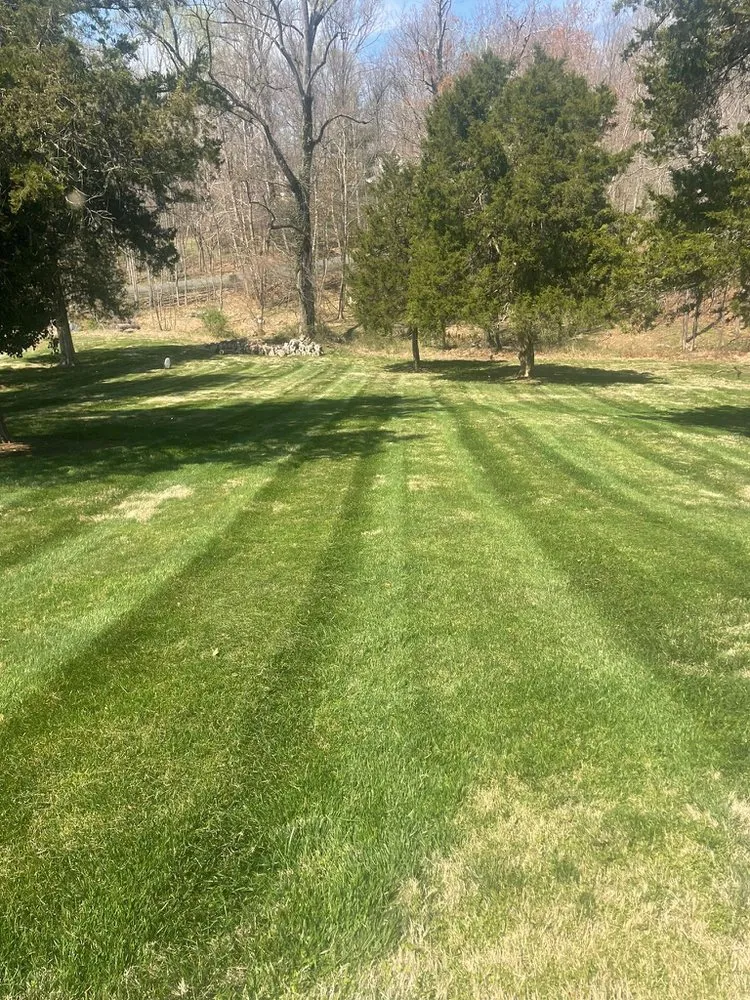 Reliable lawn care service in Louisa, VA by Green Bush Lawn Care
