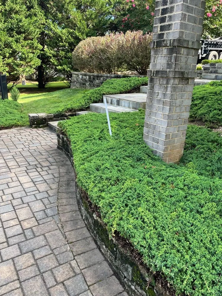 Professional lawn mowing service near you across Louisa, VA - Green Bush Lawn Care