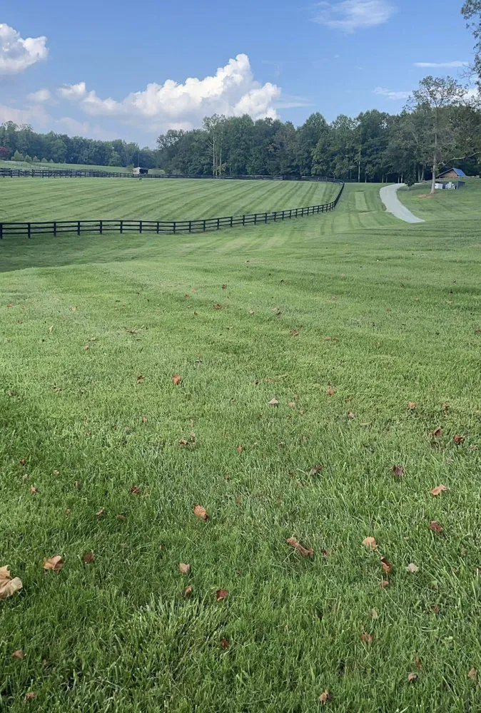 Local outdoor landscaping in Louisa, VA by Green Bush Lawn Care