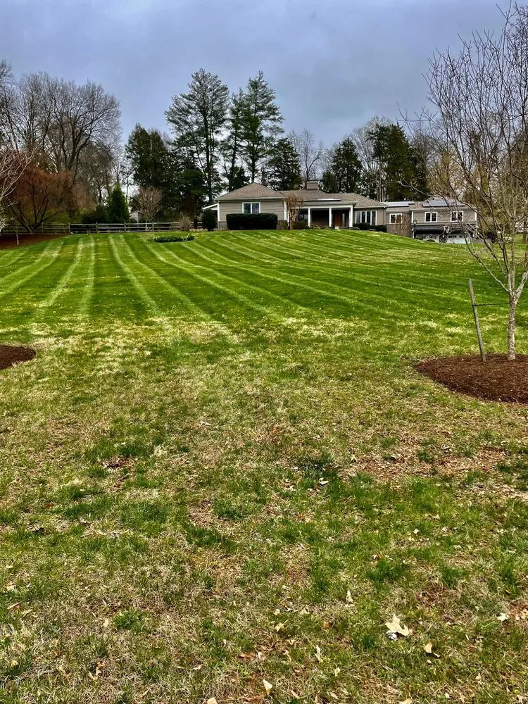 Trusted lawn mowing service in Louisa, VA by Green Bush Lawn Care