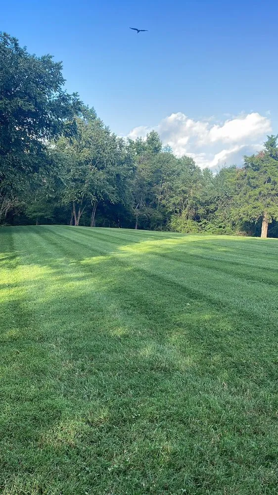 Custom yard cleanup service in Louisa, VA by Green Bush Lawn Care