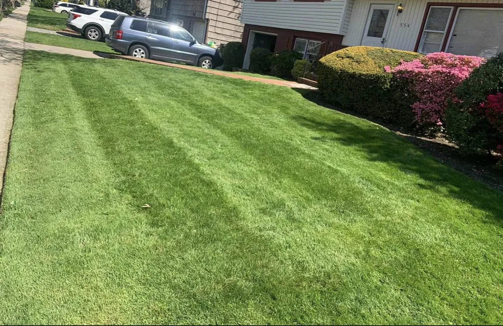 Reliable residential landscaping for outdoor upgrades across College Park, GA - Green Bush Lawn Service