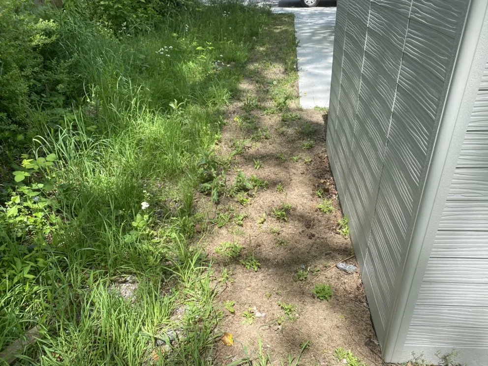 Trusted landscaping services experts serving College Park, GA - Green Bush Lawn Service