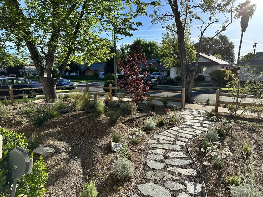 Professional landscape installation in Canoga Park, CA by Green Cactus Landscapes
