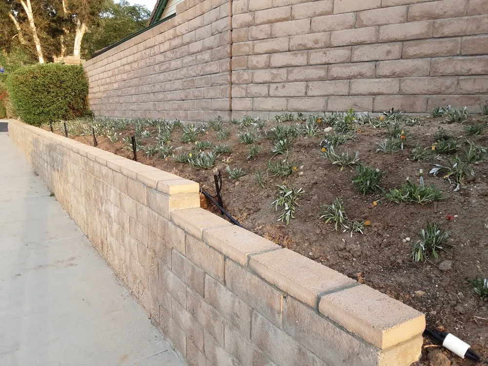 Top-rated outdoor landscaping for year-round maintenance across Canoga Park, CA - Green Cactus Landscapes