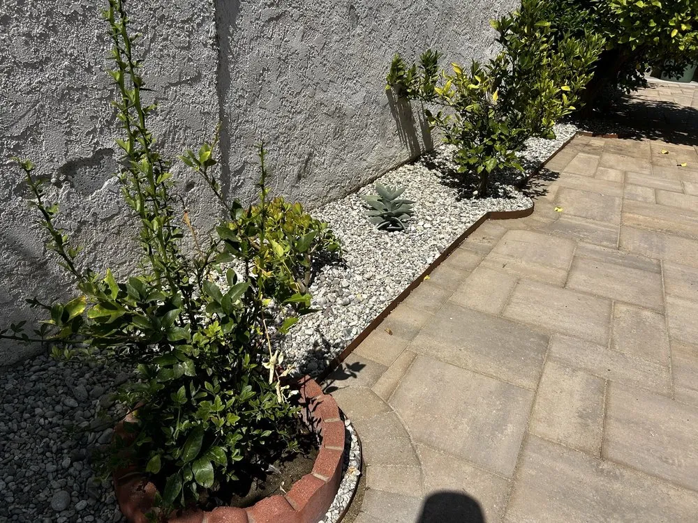 Affordable landscaping services in Canoga Park, CA - Green Cactus Landscapes