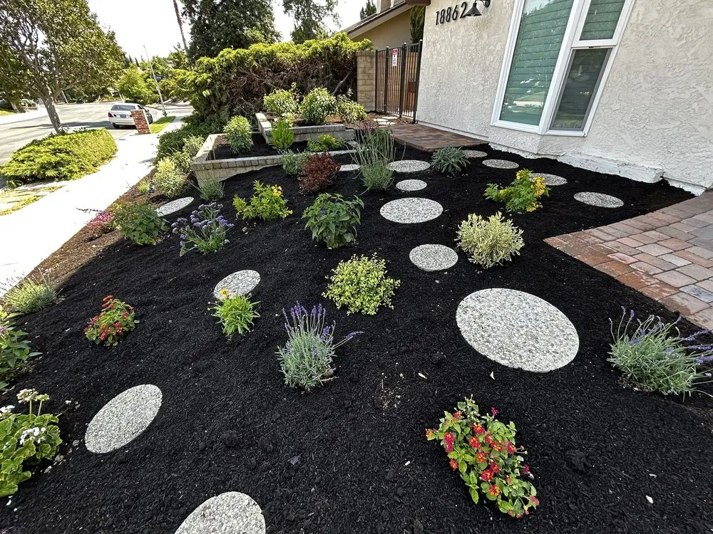 Expert yard cleanup service for residential properties across Canoga Park, CA - Green Cactus Landscapes