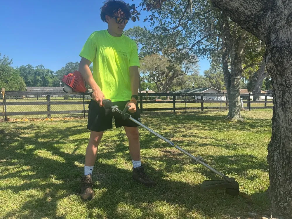 Affordable yard cleanup service in Ocala, FL - Green Canopy