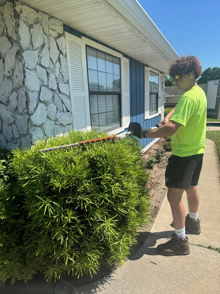 Local yard cleanup service for homes in Ocala, FL by Green Canopy