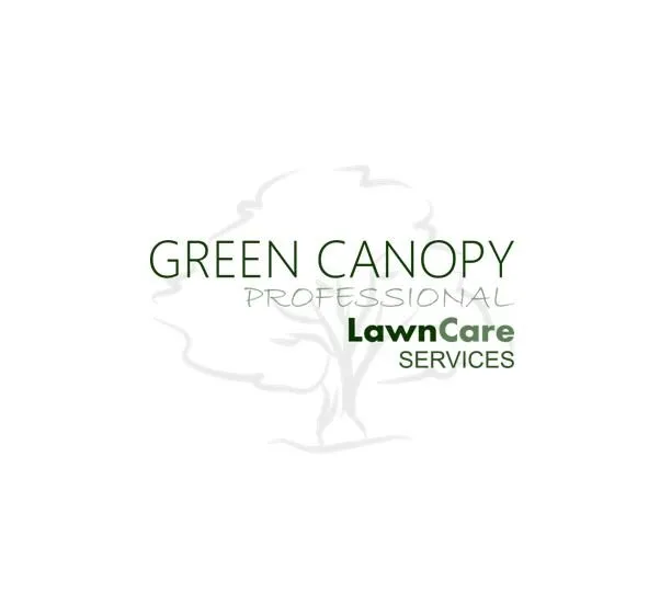 Trusted yard cleanup service for beautiful yards in Ocala, FL by Green Canopy