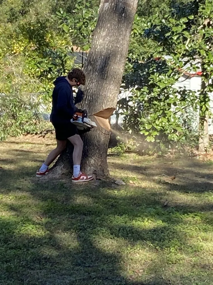 Expert lawn mowing service for outdoor upgrades across Ocala, FL - Green Canopy