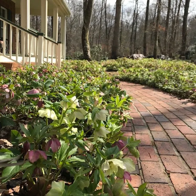 Custom outdoor landscaping in Englewood, TN by Green Canvas Horticulture