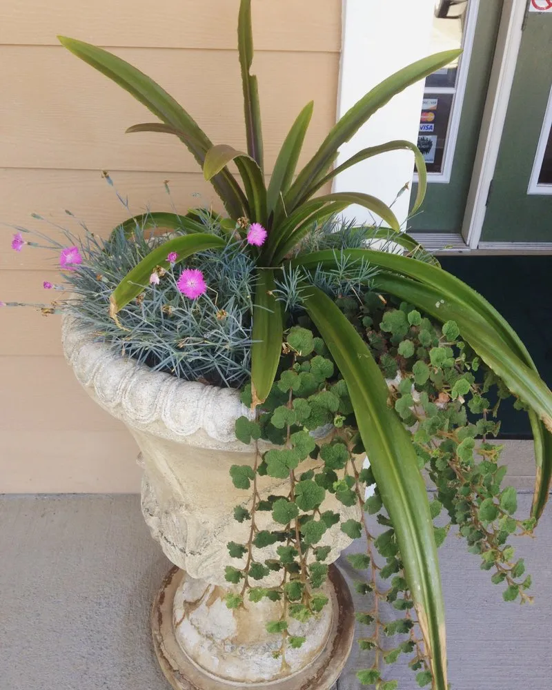 Professional landscape installation experts serving Englewood, TN - Green Canvas Horticulture