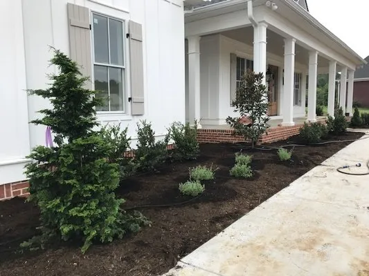 Green Canvas Horticulture