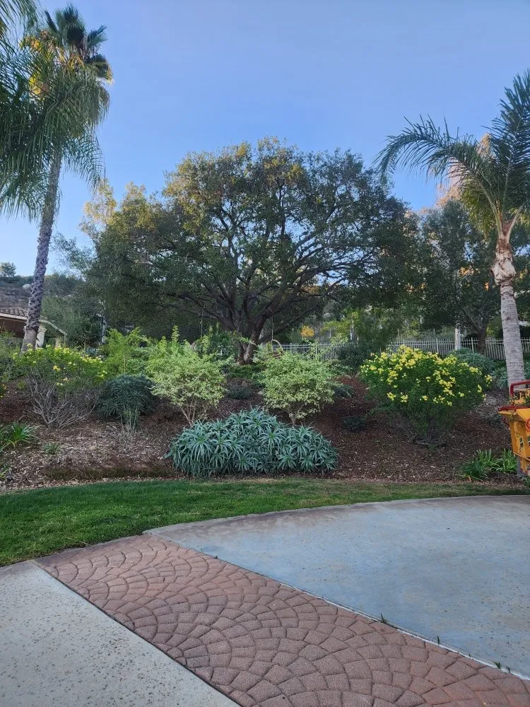 Professional residential landscaping in Bonsall, CA - Green Canyon Landscape & Tree Service