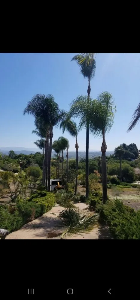 Reliable residential landscaping experts serving Bonsall, CA - Green Canyon Landscape & Tree Service