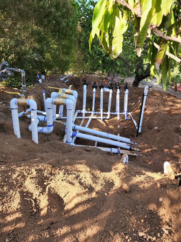 Affordable landscape installation in Bonsall, CA - Green Canyon Landscape & Tree Service