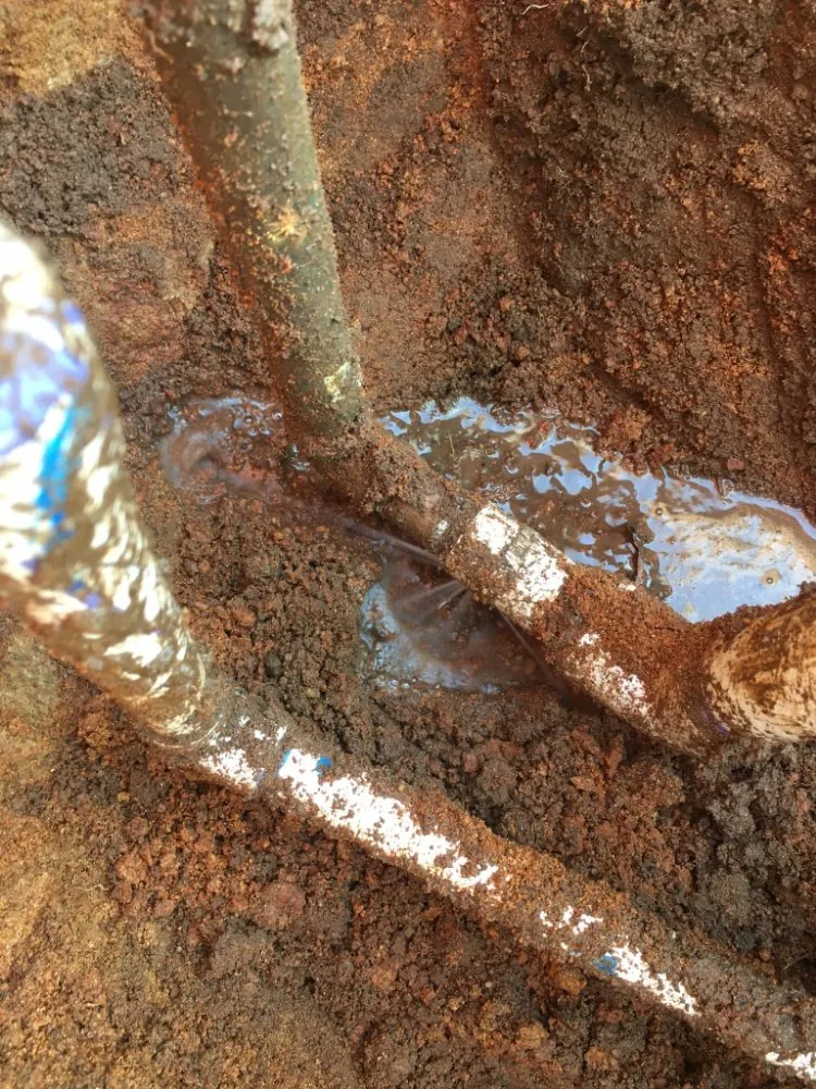 Trusted yard maintenance with custom design across Bonsall, CA - Green Canyon Landscape & Tree Service