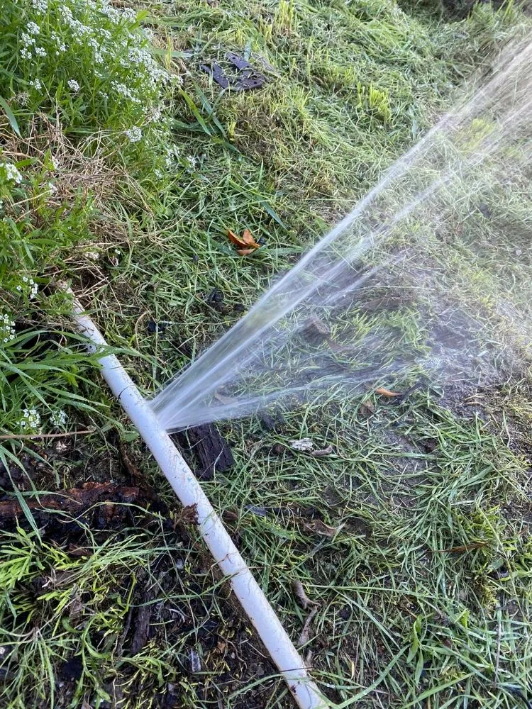 Professional garden landscaping in Bonsall, CA - Green Canyon Landscape & Tree Service