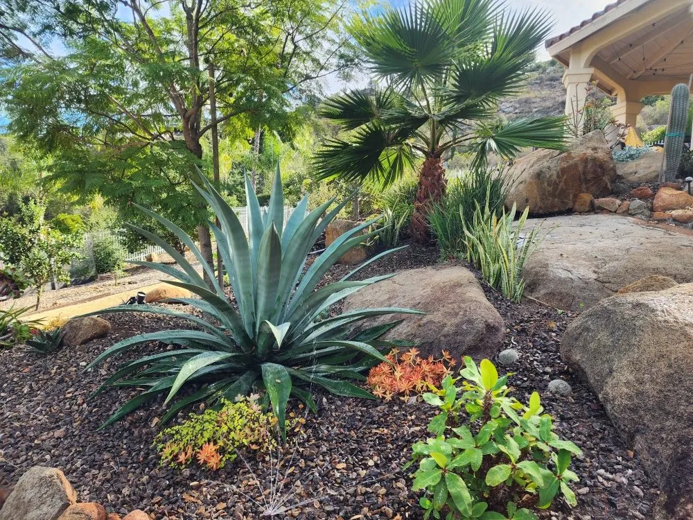 Reliable lawn care service experts serving Bonsall, CA - Green Canyon Landscape & Tree Service