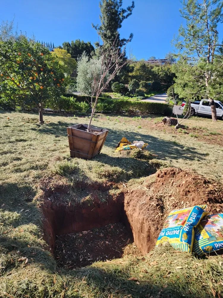 Affordable lawn care service in Bonsall, CA by Green Canyon Landscape & Tree Service