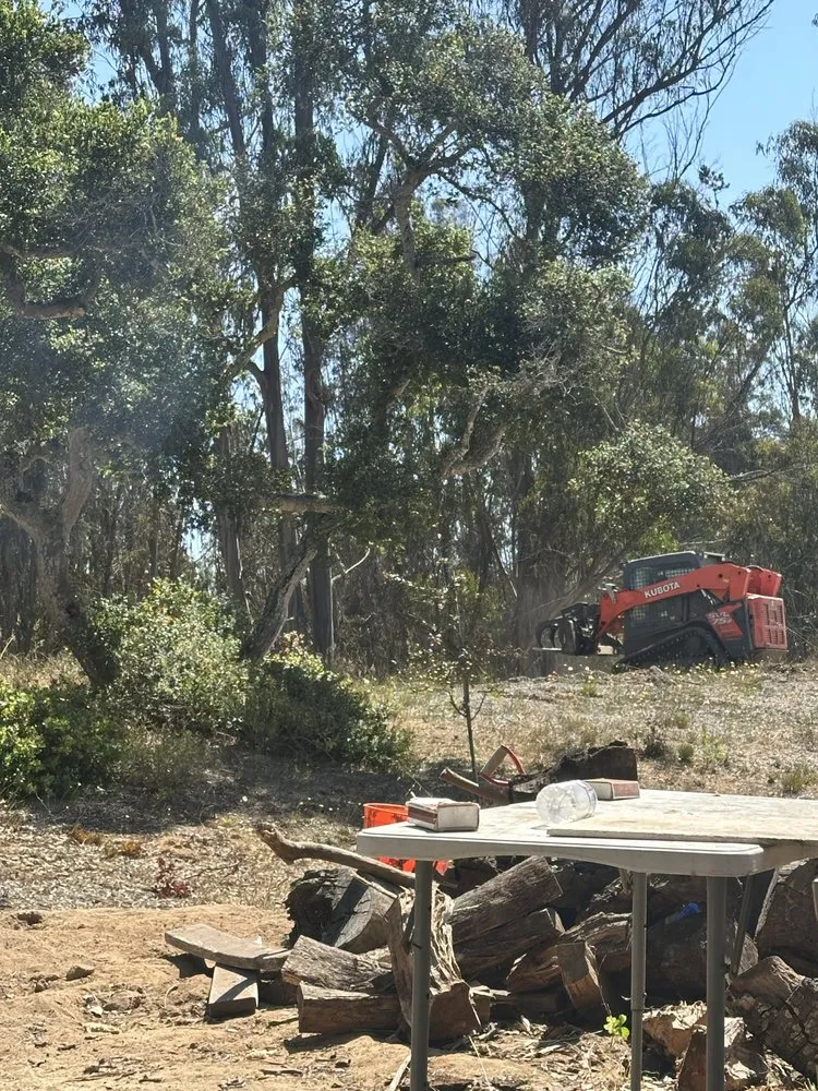 Top-rated garden landscaping in Seaside, CA by Green Canyon Landscaping