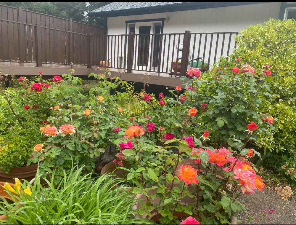 Local landscape design for homes across Seaside, CA - Green Canyon Landscaping