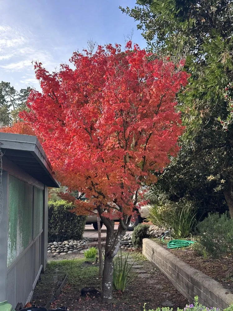 Top-rated outdoor landscaping in Seaside, CA - Green Canyon Landscaping