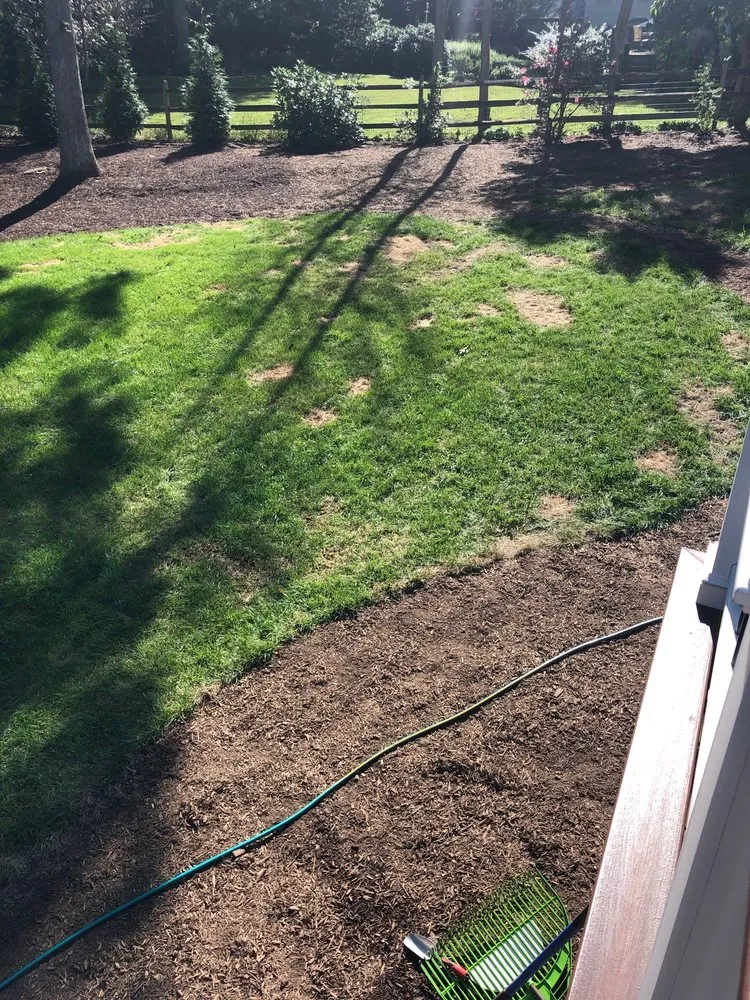 Local outdoor landscaping in Bethesda, MD by Green Capital Construction and Landscape