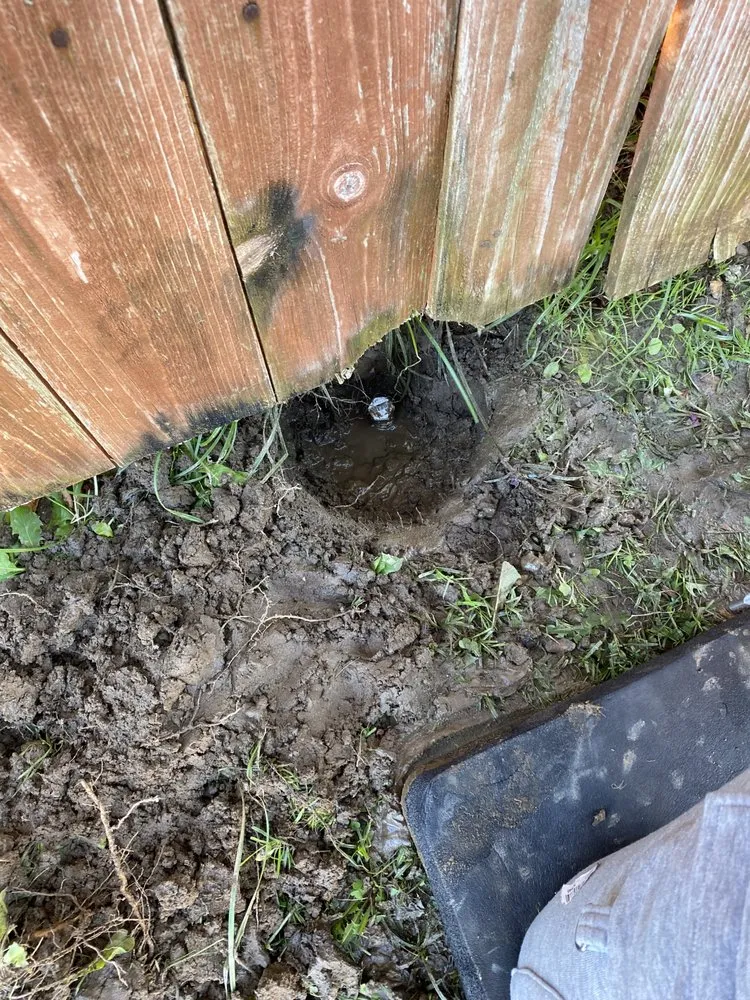 Reliable outdoor landscaping for residential properties in Lamont, CA by Green Care