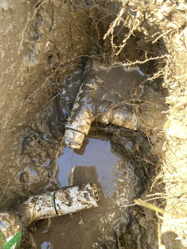 Reliable landscaping services for beautiful yards across Lamont, CA - Green Care