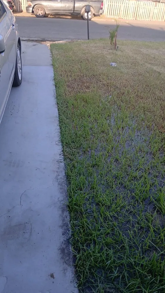 Reliable yard maintenance in Lamont, CA - Green Care