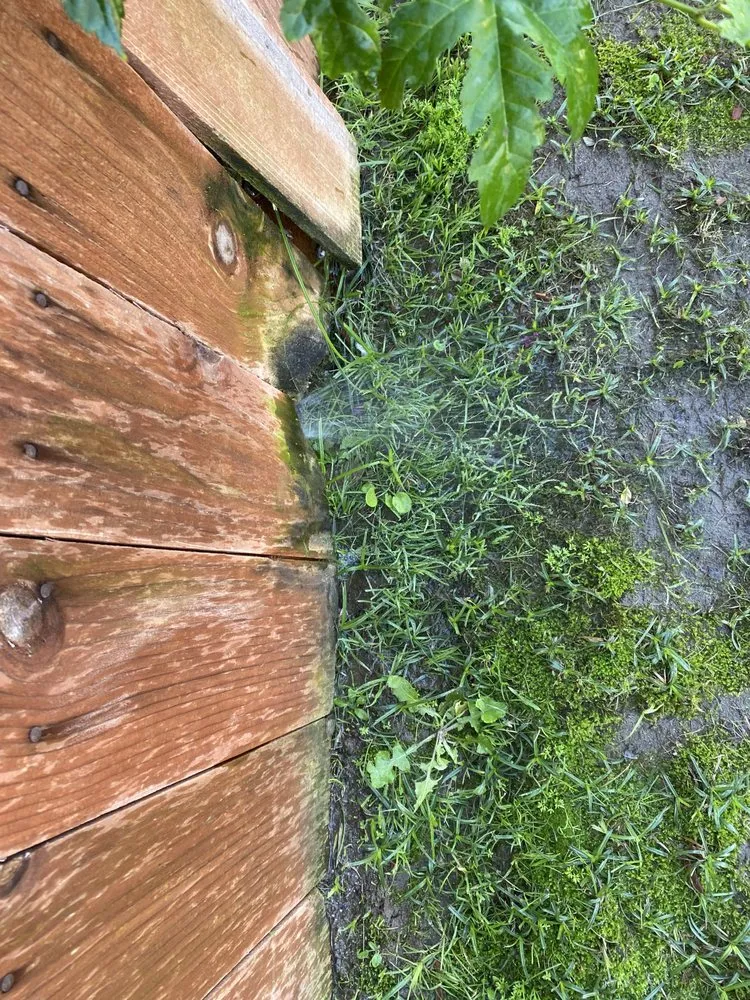 Affordable yard maintenance in Lamont, CA by Green Care