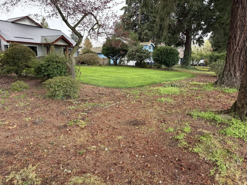 Expert lawn mowing service experts serving Damascus, OR - Green Care Landscape