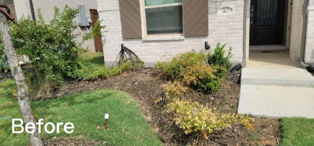 Local lawn care service in Denton, TX - Green Care Landscape Service