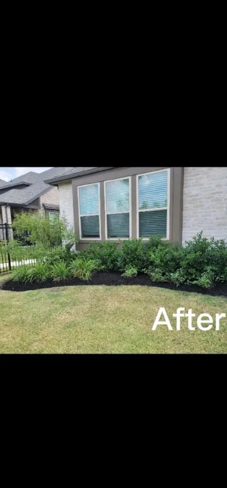 Trusted lawn care service with custom design across Denton, TX - Green Care Landscape Service