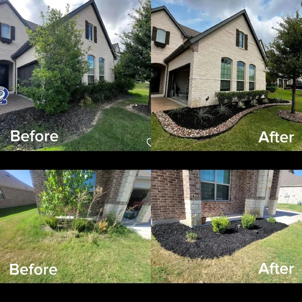 Affordable yard cleanup service experts serving Denton, TX - Green Care Landscape Service