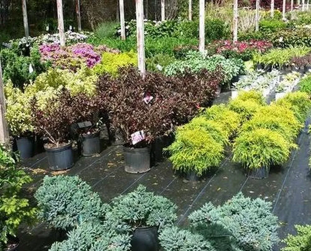 Expert outdoor landscaping in Rehoboth, MA by Green Care Landscaping