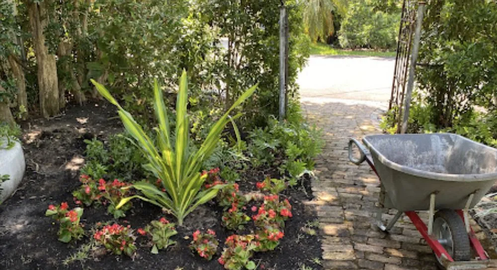 Expert yard maintenance in Hallandale Beach, FL by Green Care Lawn and Tree Service