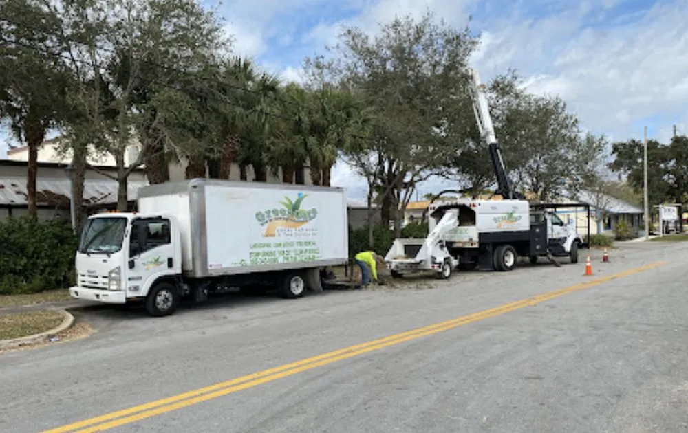 Top-rated outdoor landscaping for outdoor upgrades across Hallandale Beach, FL - Green Care Lawn and Tree Service