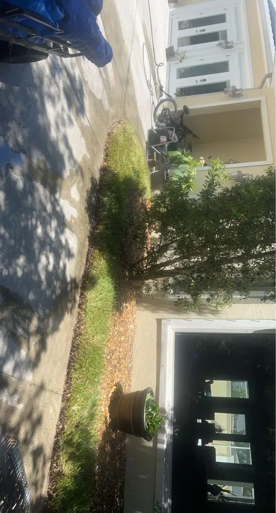 Top-rated landscape design for beautiful yards across Cocoa, FL - Green Care Property Services