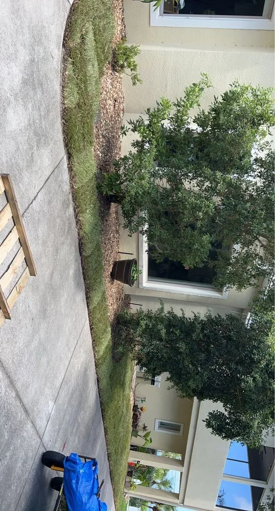 Local landscape design in Cocoa, FL - Green Care Property Services