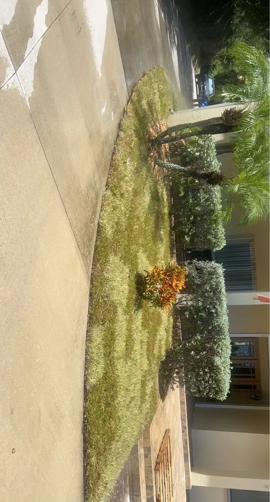 Affordable garden landscaping near you across Cocoa, FL - Green Care Property Services