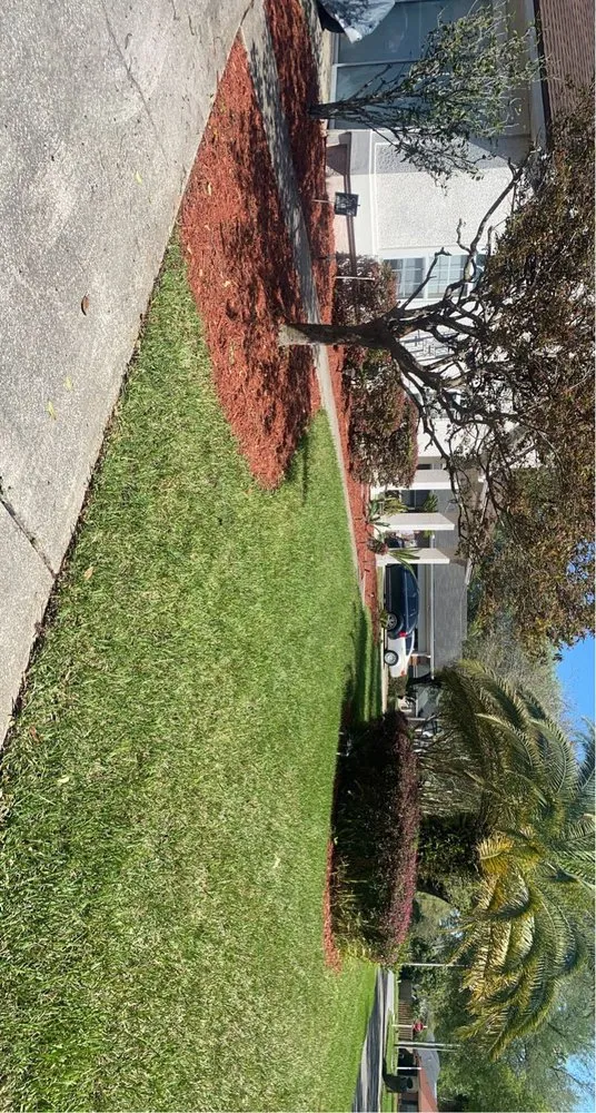 Professional yard maintenance for residential properties in Cocoa, FL by Green Care Property Services