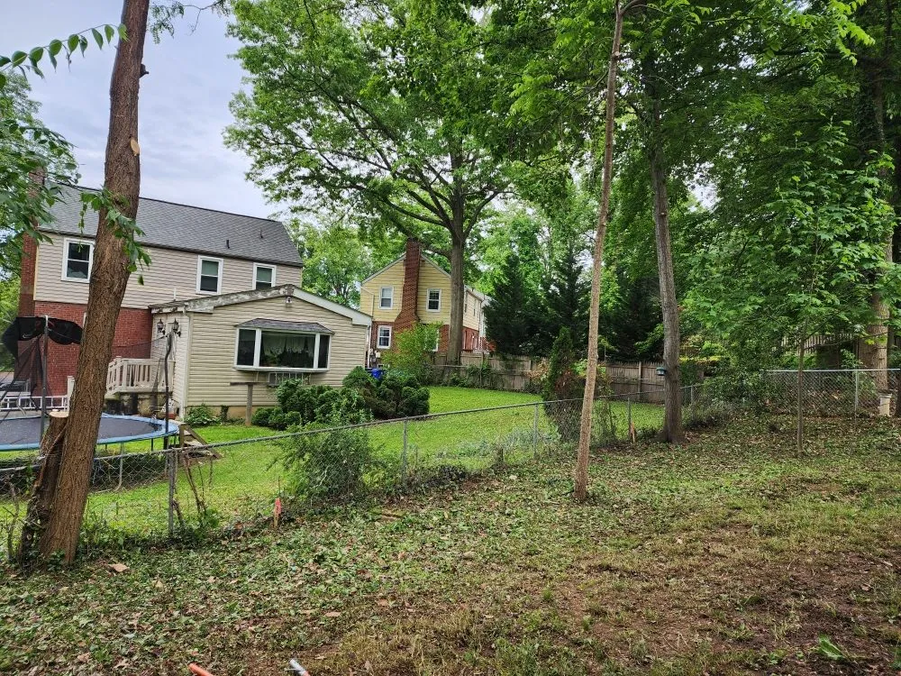 Reliable landscape design for year-round maintenance in Culpeper, VA by Green Care Tree & Landscaping