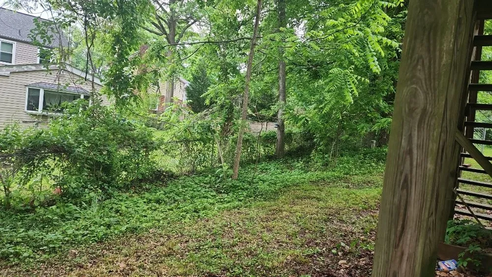 Trusted lawn care service for residential properties across Culpeper, VA - Green Care Tree & Landscaping