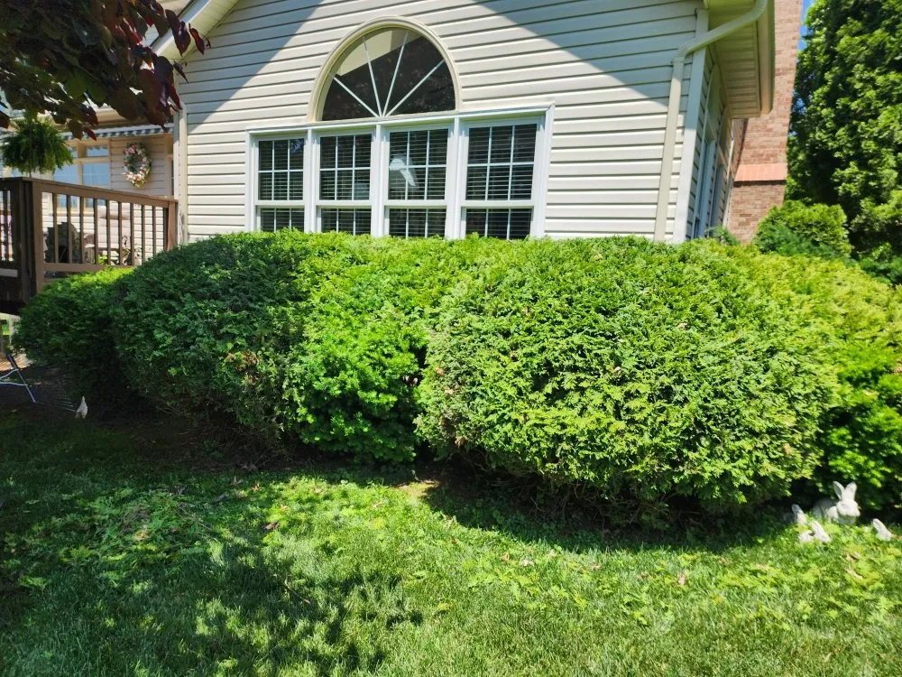 Affordable outdoor landscaping experts serving Culpeper, VA - Green Care Tree & Landscaping